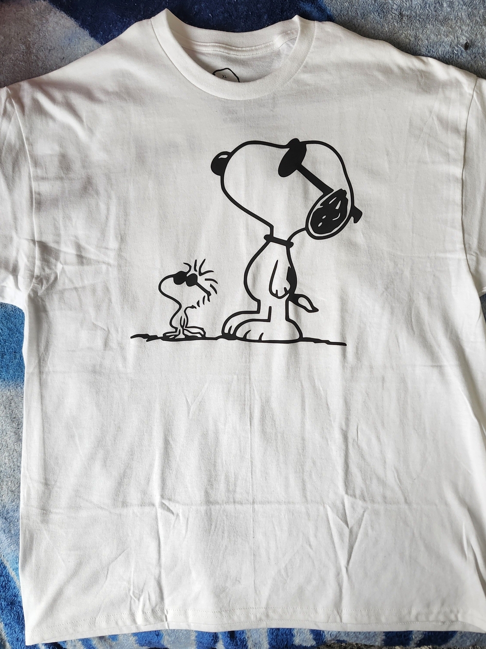 Snoopy And Woodstock